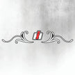 CASE PUMA IH Tractor Decal - Silver & Black