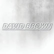 DAVID BROWN SOLID WHITE WINDOW DECAL