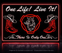 STYLE 5 SCANIA PERSONALISED OUTLINE TEXT LED LIGHT TRUCK BOARD 2 COLOUR PANEL RGB ONE LIFE LIVE IT