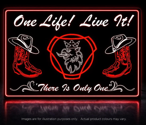 STYLE 5 SCANIA PERSONALISED OUTLINE TEXT LED LIGHT TRUCK BOARD 2 COLOUR PANEL RGB ONE LIFE LIVE IT
