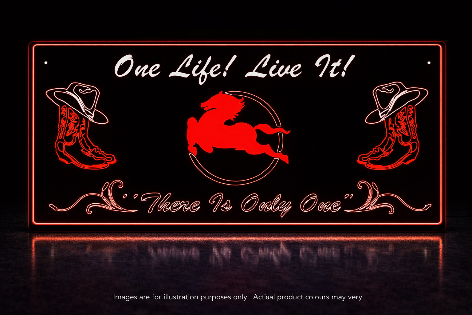 STYLE 28 IVECO PERSONALISED OUTLINE TEXT LED LIGHT TRUCK BOARD 2 COLOUR PANEL RGB ONE LIFE LIVE IT