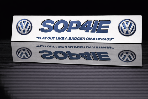 PRINTED STYLE 21 VOLKSWAGEN LOGOS PERSONALISED NOVELTY PLATE