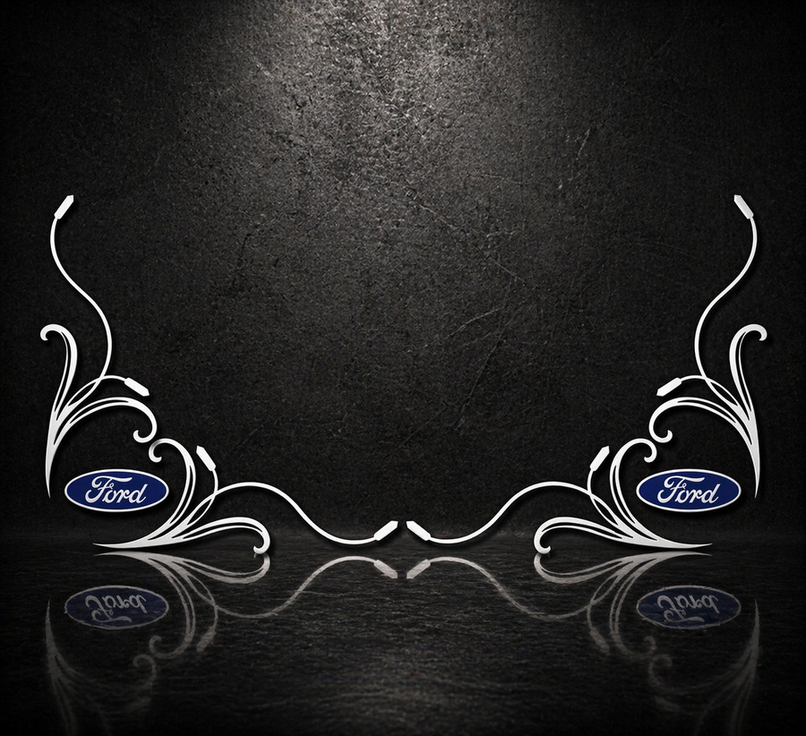 FORD SIDE WINDOW SWIRLS - PAIR
