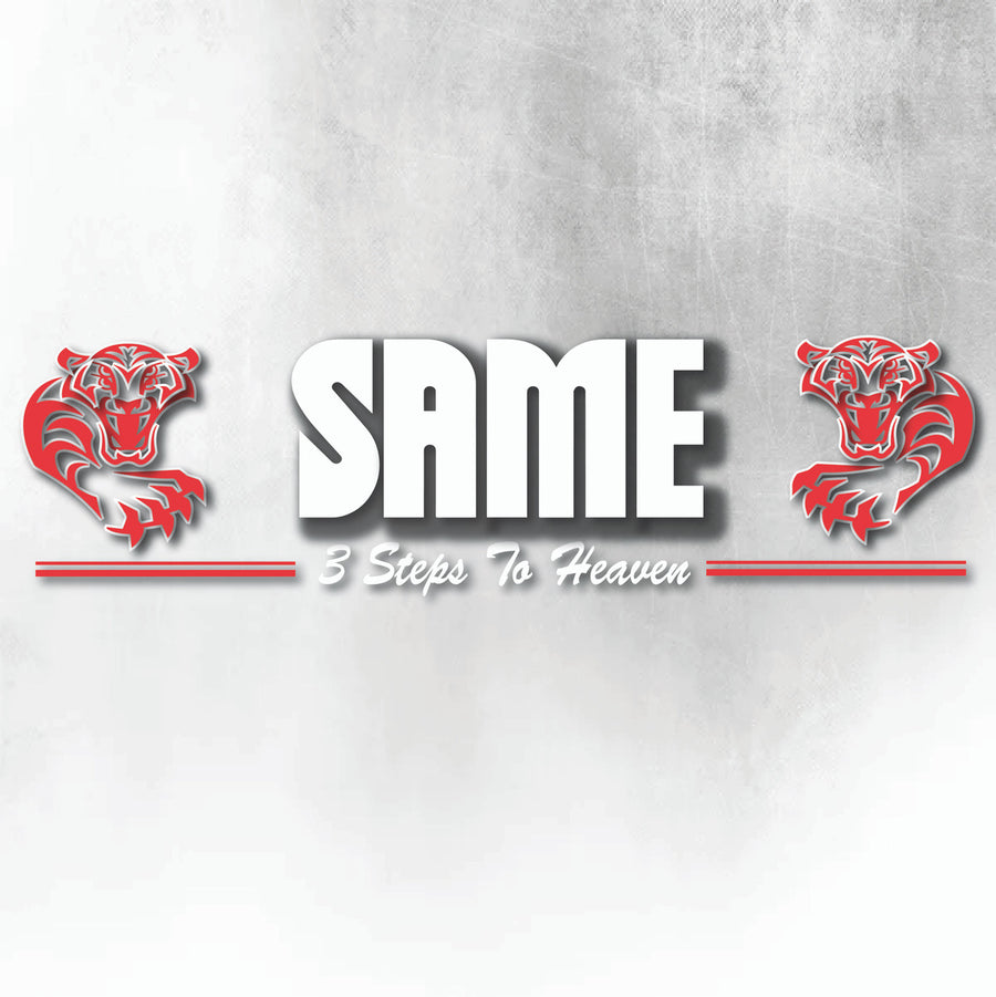 SAME RED AND WHITE 3 STEPS TO HEAVEN WINDOW DECAL