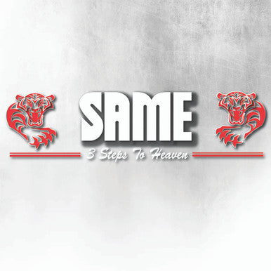 SAME RED AND WHITE 3 STEPS TO HEAVEN WINDOW DECAL