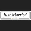 STYLE 23 JUST MARRIED WEDDING PLATE