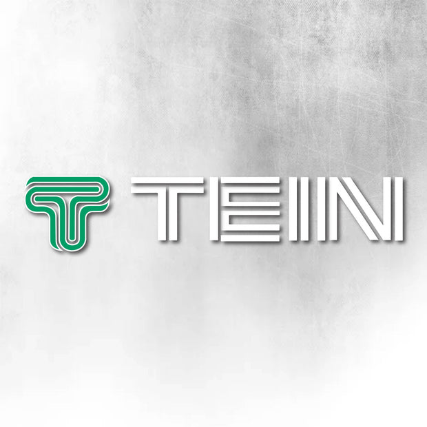 TEIN GREEN AND WHITE WINDOW DECAL