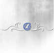 LANDINI BLUE AND WHITE REAR WINDOW SWIRL