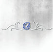 LANDINI BLUE AND WHITE REAR WINDOW SWIRL